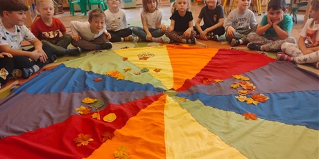 Dzień Drzewa