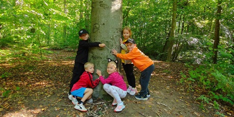 Ogólnopolska kampania PRZYTUL SIĘ DO DRZEWA - grupa V🌳